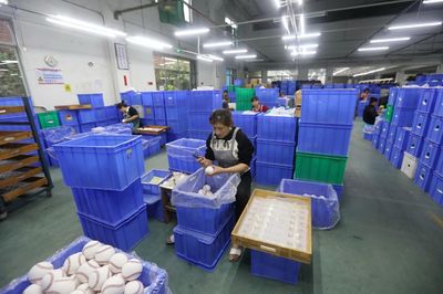 全民健身新亮点 县市区棒球运动蓬勃发展